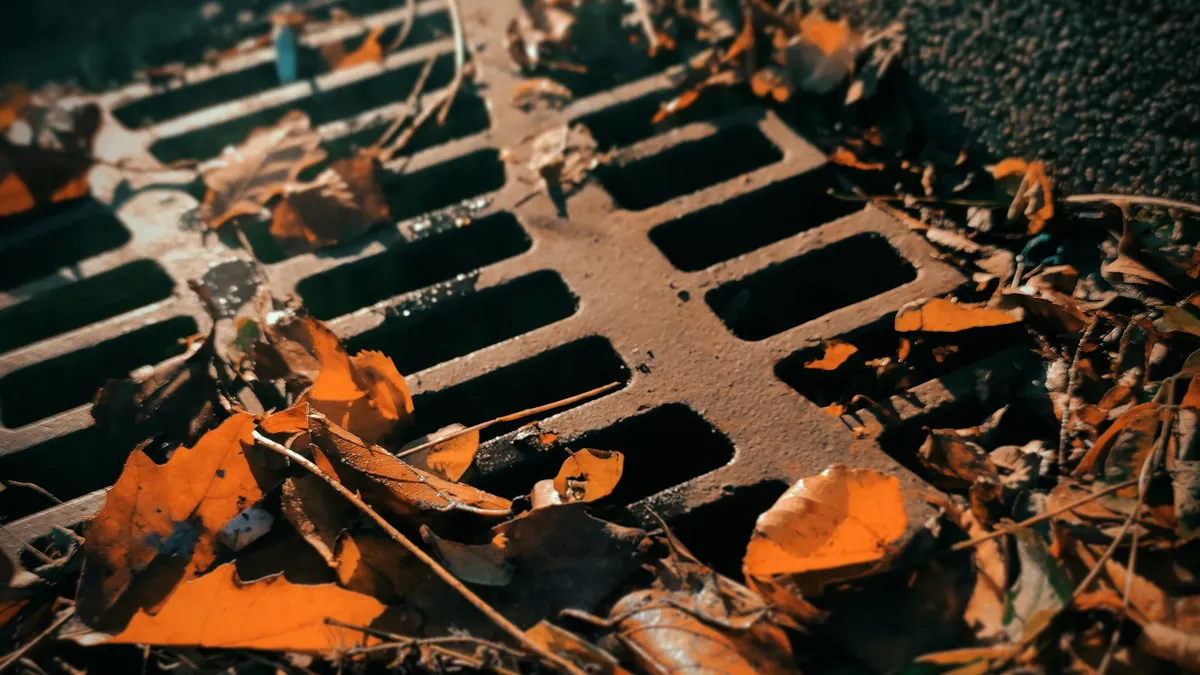Drain and Sewer Solutions — The Complete Guide street drain grate covered with leaves